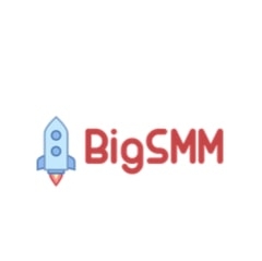 BigSMM.ru - обзор,мнение и отзывы пользователей