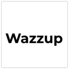 Wazzup24.com - обзор,мнение и отзывы пользователей