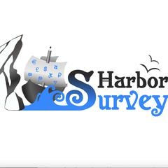 SurveyHarbor.com - обзор,мнение и отзывы пользователей