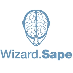 Sape Wizard - обзор,мнение и отзывы пользователей