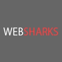 WebSharks.ru - обзор,мнение и отзывы пользователей